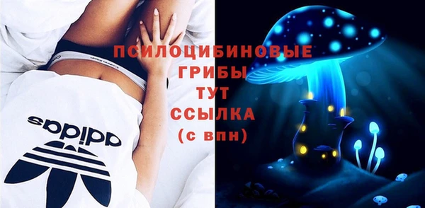 гашик Балабаново