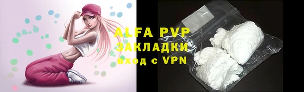 молекула духа Арсеньев