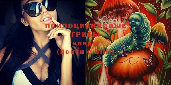 МДПВ Армянск