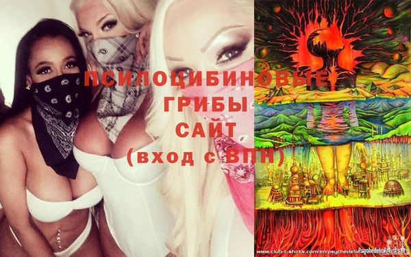 молекула духа Арсеньев