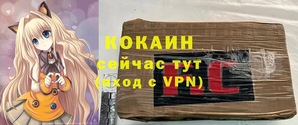 молекула духа Арсеньев