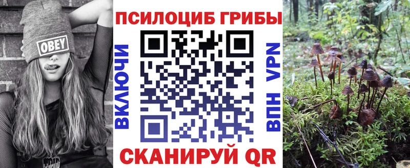 Галлюциногенные грибы ЛСД  наркота  Черняховск 